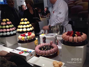 2015年里昂國際餐飲酒店食品展（Sirha）現場直擊 前沿產品、創意蛋糕與餐飲服務新風尚